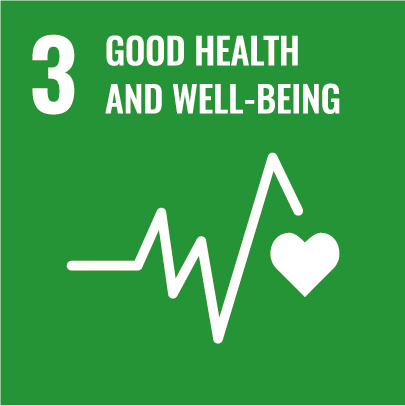 Sustainability Report SDG 16