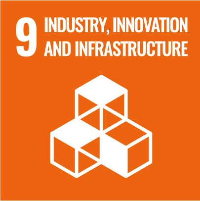 Sustainability Report SDG 16